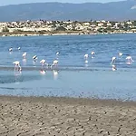 Lunilu - Open Space 5 Minuti Dal Mare * Quartu Sant'Elena