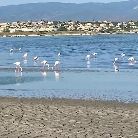 Lunilu - Open Space 5 Minuti Dal Mare * Quartu SantʼElena